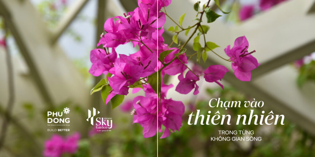 Chạm Vào Thiên Nhiên Trong Từng Không Gian Sống